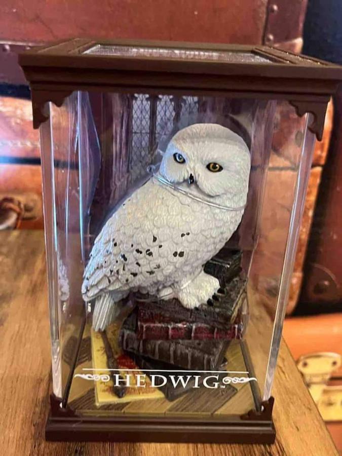 Harry Potter A Apartment *