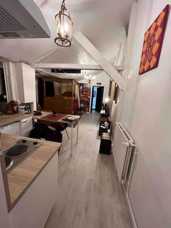 Apartment Harry Potter A Blois