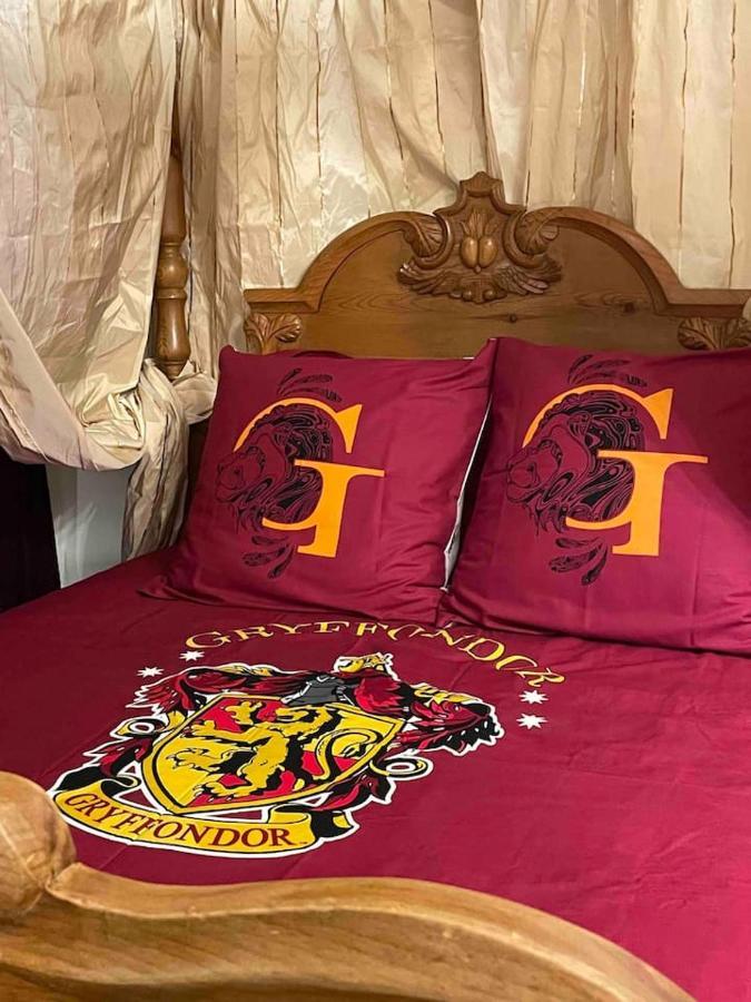 Harry Potter A * Blois