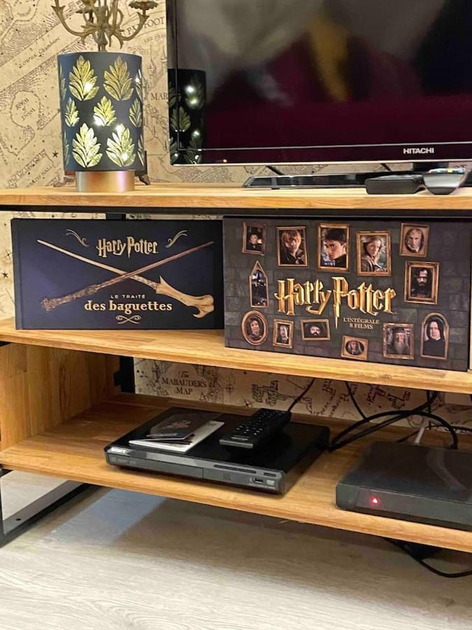 Apartment Harry Potter A Blois