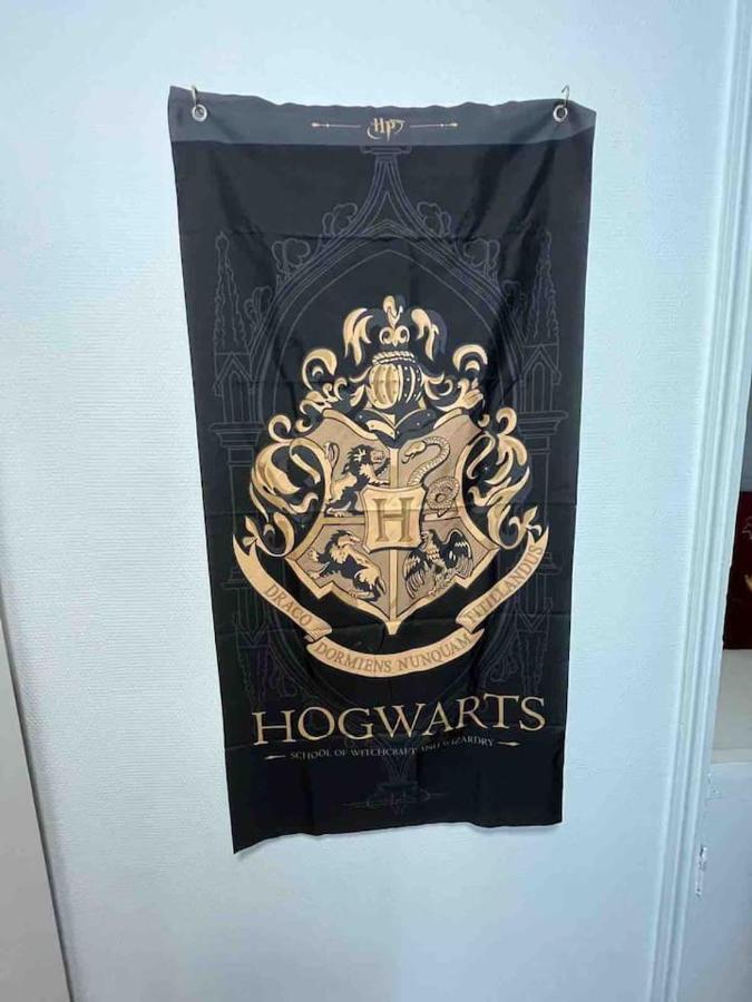 Harry Potter A Apartment *